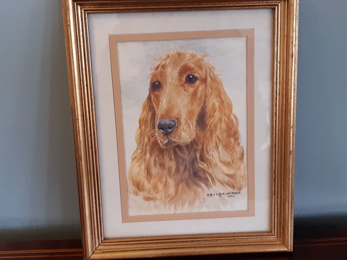 Watercolour of Red Setter